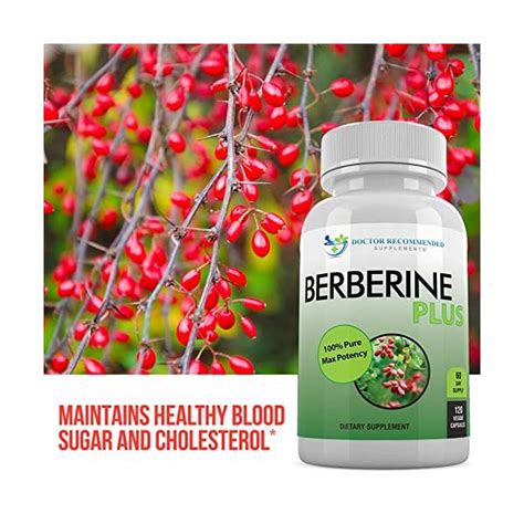 does berberine raise blood sugar